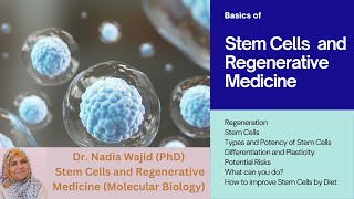 Stem Cells and Regenerative Medicine [upl. by Ecinom]