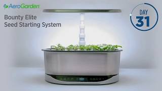 AeroGarden Bounty Elite with Seed Starting System Timelapse [upl. by Baiel]