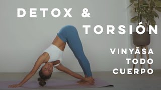 DÍA INTERNACIONAL DEL YOGA  VINYASA FLOW DETOX Y TORSION con Absmo  2020 [upl. by Nivad]