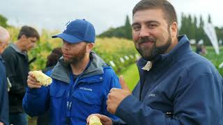 Local Partnerships Bring Desired Vegetable Traits to Australian Farmers  Fields of Innovation [upl. by Cired]