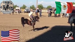 CONCURSO DE CABALLOS BAILADORES EN CHOWCHILLA CALIFORNIA [upl. by Silas]