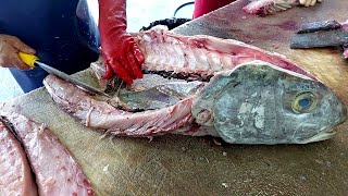 Filleting BIG Amberjack the Asian way  best and fastest way to clean fish [upl. by Ycnaf]