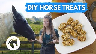 DIY HORSE TREATS that even I can cook 😂 [upl. by Murvyn746]