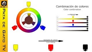 Como crear colores a partir de los 5 básicos  How to create colors starting from the 5 basics [upl. by Esiuole]