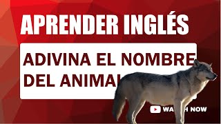 APRENDER INGLÉS LOS NOMBRES DE LOS ANIMALES [upl. by Yotal801]