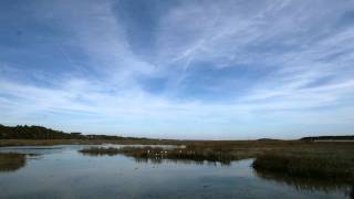 Time Lapse of South Carolina Salt Marsh [upl. by Petracca237]