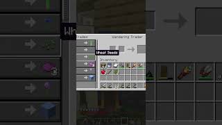 Wandering Trader is a Scammer in Minecraft [upl. by Edalb]