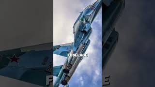 Why Do Russian Fighter Planes Look Strange russianjets trending 2025 [upl. by Ralina]