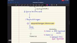 24🌸PORPHYRIAs COMPLETE MCQs 🔥  Very Important 👀✨ [upl. by Damiano]