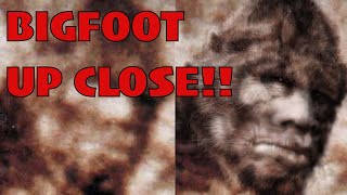 The Ultimate Patterson Gimlin Bigfoot Image Enhancement  Not Done by AI but by a HUMAN [upl. by Retsel]