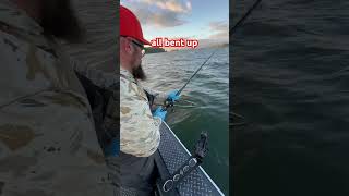 Salmon Fishing trolling for fall kings and coho in the lower columbia pnw fishing salmon [upl. by Ethelin11]