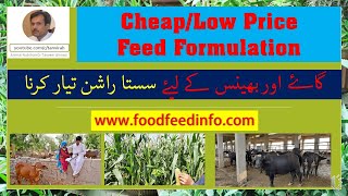 Low Cost Dairy Feed Formulation TipsSasta ration for Dairy Cow and Buffalo [upl. by Aizek]