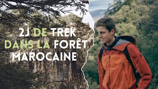 J’EXPLORE la FORET d’AZROU au MAROC  Un écosystème en DANGER [upl. by Anialem]