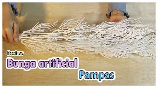 pampas artificial [upl. by Warga]