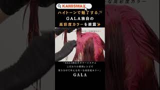 GALA独自のカラーシステム こだわりの薬剤レシピで塗り分けて叶える均一な高彩度カラー②shorts 美容師 [upl. by Idak103]