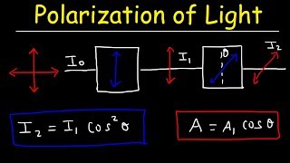 Polarization of light Problems Malus Law  Intensity amp Amplitude  Physics [upl. by Edholm144]