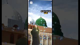 Aapke Dar ka Hu Mein Bhikari  Ey Hasnain Ke Nana  Official Video Super Hit Kalam Milad Raza Qadri [upl. by Behm]