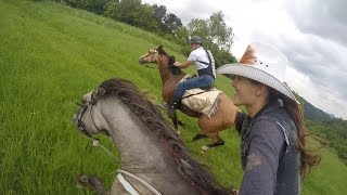 Epic horse galloping with GoPro by KristyM Ranch [upl. by Hiroko]