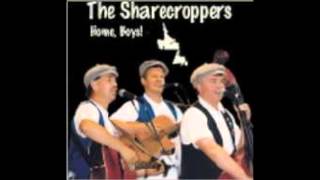 Home Boys  The Sharecroppers [upl. by Asyal]