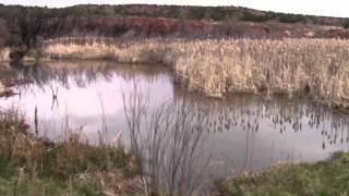 Zuni River Video [upl. by Atiuqel]