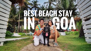 BEST BEACH COTTAGE in a BUDGET  Ashwem Beach GOA [upl. by Janicki]