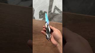 Singularity Butterfly Knife irl valorant butterflytrainer [upl. by Carrol]