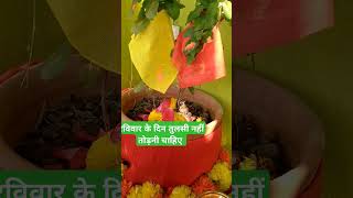 Tulsi maiya motivation viralvideos shorts tulsiji🙏 [upl. by Ioab]