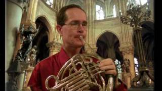 Mozart Horn Concerto No 3 1st Mvnt Steve ParkHorn [upl. by Archy]