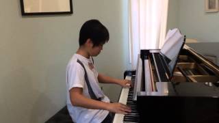 Clarity  Zedd Piano Cover l Sean Lew [upl. by Ylak202]