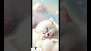 Música 🎶 para dormir 💤 gatitos 🐱 🐱 y para mamás recuperarse del parto… [upl. by Neelyhtak]