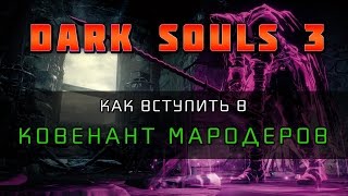 Dark Souls 3  Ковенант Мародеров MoundMakers Covenant [upl. by Naleek]