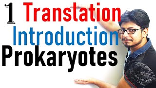 Translation in prokaryotes introduction  prokaryotic translation lecture 1 [upl. by Junji]