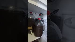 Fermentação temperatura controlada stout fermentador keggi [upl. by Ylle]