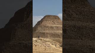 Egypt Tour shorts shortsfeed shortvideo youtubeshorts [upl. by Voccola]