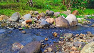 A Charming Place Filled with Fretty Sounds of River for Those of You Who Need Peace and Quiet [upl. by Elconin]