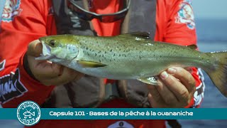 Capsule 101  Les bases pour la pêche à la ouananiche [upl. by Aleetha656]