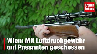 Wien Mit Luftdruckgewehr auf Passanten geschossen  kronetv NEWS [upl. by Ertnod]