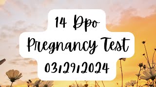 14 Dpo Pregnancy TestsDay AF is Due [upl. by Eiblehs]