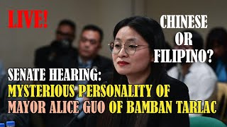 SENATORS GRILLS MAYOR OF BAMBAN TARLAC LIVE MORE QUESTIONS THAN ANSWERS [upl. by Ettellocin]