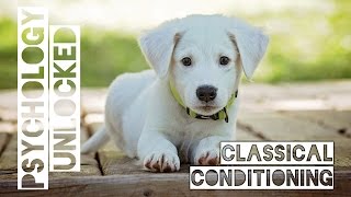 Pavlovs Dogs and How People Learn  Classical Conditioning  Behavioural Psychology [upl. by Akirdnas]