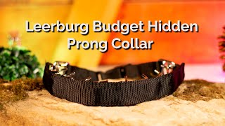 Leerburg Budget Hidden Prong [upl. by Ellah]