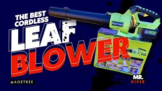 The BEST Cordless Leaf Blower 2024 AoeTree Amazon Review [upl. by Hobey652]