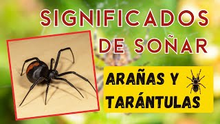 arañas🕷 tarántulas 🕷 🕸🕷¿Qué significa soñar con arañas🕸 [upl. by Baelbeer]