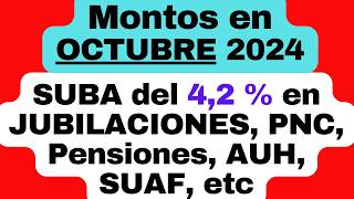 MONTOS a cobrar en OCTUBRE 2024 en JUBILACIONES PNC Pensiones AUH SUAF con la suba del 42 [upl. by Otineb694]