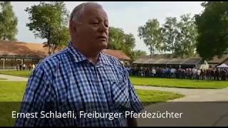 Interview mit Ernest Schlaefli Freiburger Pferdezüchter [upl. by Hoisch9]