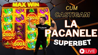 LUNA PROFITURILOR LA PACANELE INCEPE ASTAZI Aparate Pacanele Slots PragmaticPlay [upl. by Seltzer]