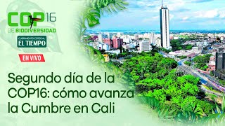 Segundo día de la COP16 le mostramos cómo avanza la Cumbre de Biodiversidad en Cali [upl. by Jeniece]