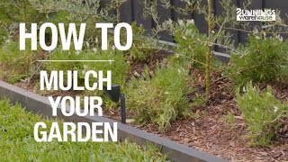 How To Mulch Your Garden A StepByStep Guide from Bunnings Warehouse [upl. by Eellac752]