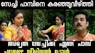 അമൃത പാമ്പിനെ അപമാനിച്ചുവിട്ടു  chandanamazha serial troll  malayalam troll  serial troll funny [upl. by Ynnaj293]