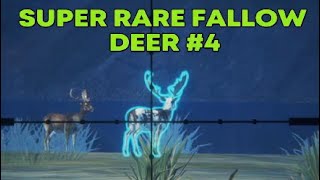 Super Rare Fallow Deer 4 Call of the Wild theHunter [upl. by Fawcette324]